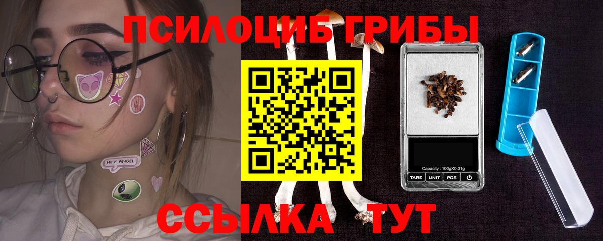 Псилоцибиновые грибы мицелий  Вход с VPN  Тула 